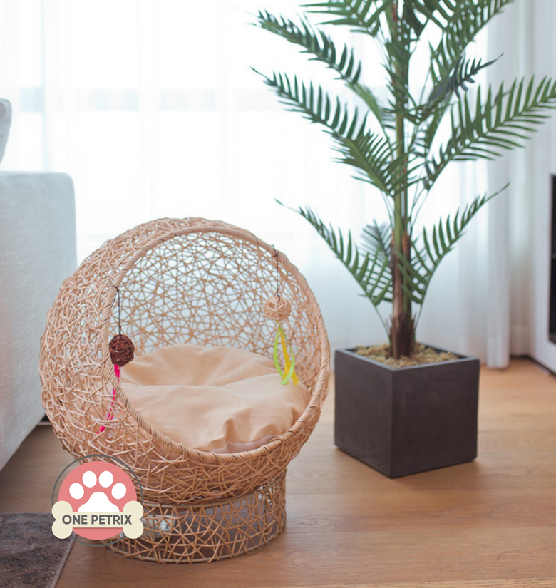 Aesthetic Rattan Pet Bed  / Dog and Cat Bed