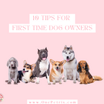 10 Tips for First Time Dog Owners