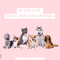 10 Tips for First Time Dog Owners