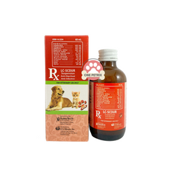 Dog diarrhea medicine best sale