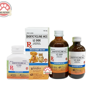 Lc - Dox Doxycline Antibacterial Oral Suspension / Tablet (Caramel Flavor)