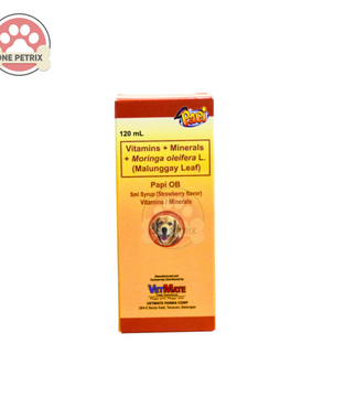 Papi OB Syrup Prenatal Vitamins + Minerals + Malunggay (Strawberry Flavor) 120ML