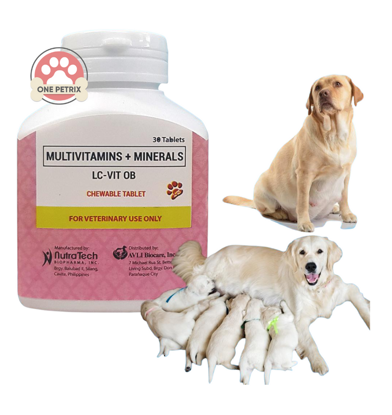 LC VIT OB Multivitamins Chewable Tablet for Pregnant Lactating