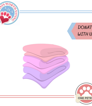 Donate to Strays Worth Saving - Towel