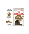 Royal Canin Senior Ageing 12+ Dry Cat Food Feline Health Nutrition - 2KG