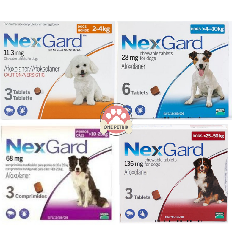 NexGard Anti - Tick and Flea Chewable Tablets for Dogs