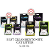 Best Clean Bentonite Toilet Cleaning Expert Cat Litter