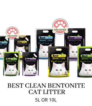 Best clean clearance bentonite cat litter