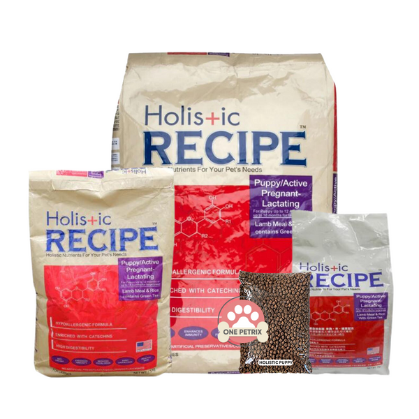 Holistic pet food best sale