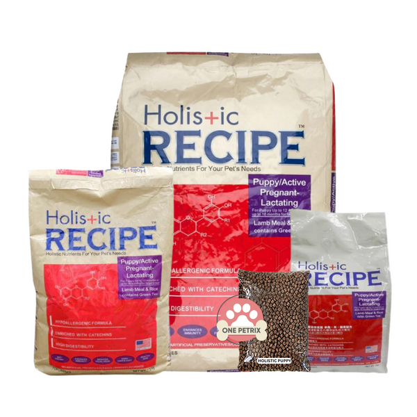 Best holistic pet food Top Sellers