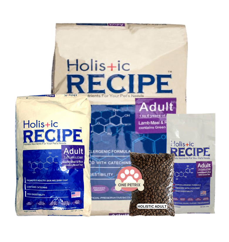 Holistic dog food hot sale adult