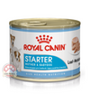 Royal Canin Starter Mousse Mother and Baby Dog Wet Dog  Food in Can Canine Health Nutrition