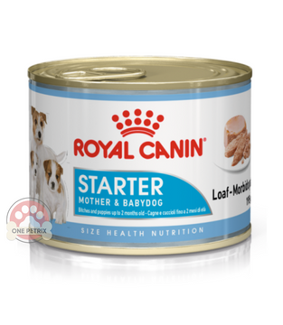 Royal Canin Starter Mousse Wet Dog  Food in Can - July 31, 2024 exp date