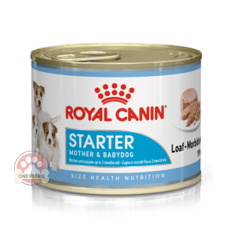 Royal Canin Starter Mousse Mother and Baby Dog Wet Dog  Food in Can Canine Health Nutrition
