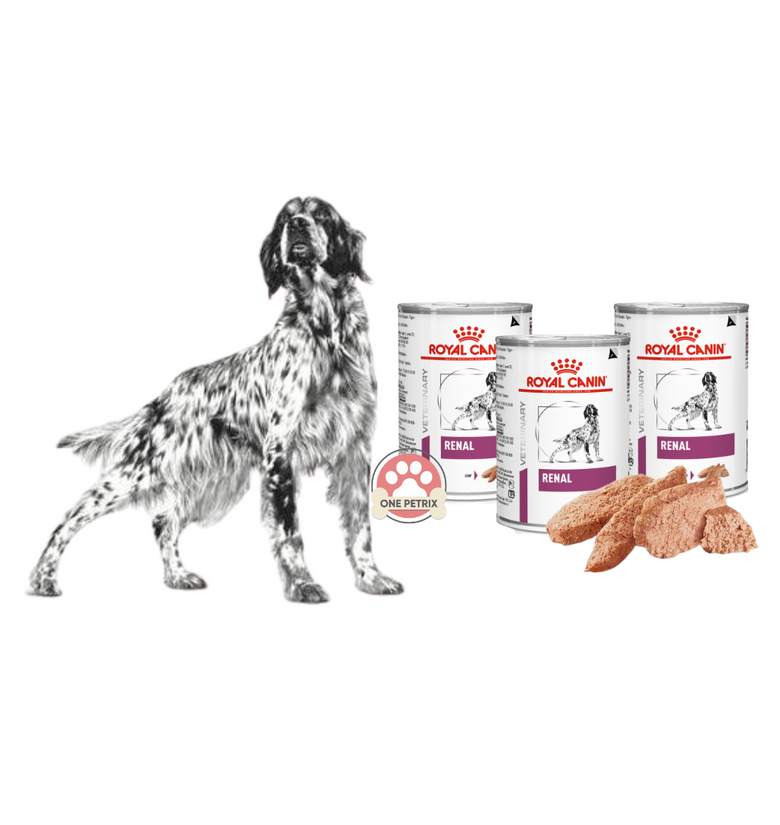 Royal canin renal 2024 dog