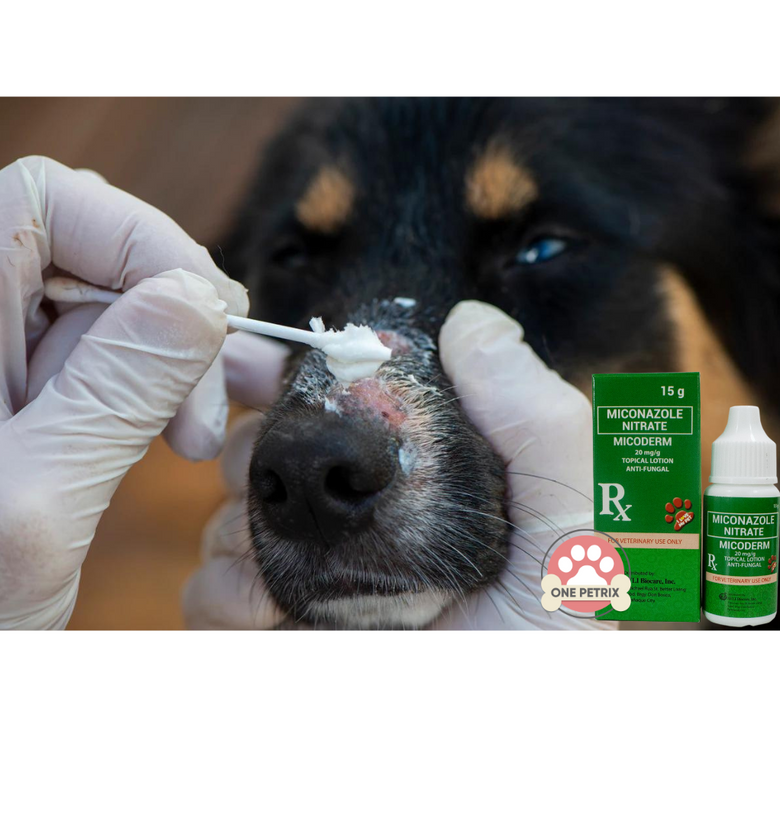 Fungal cream for dogs clearance