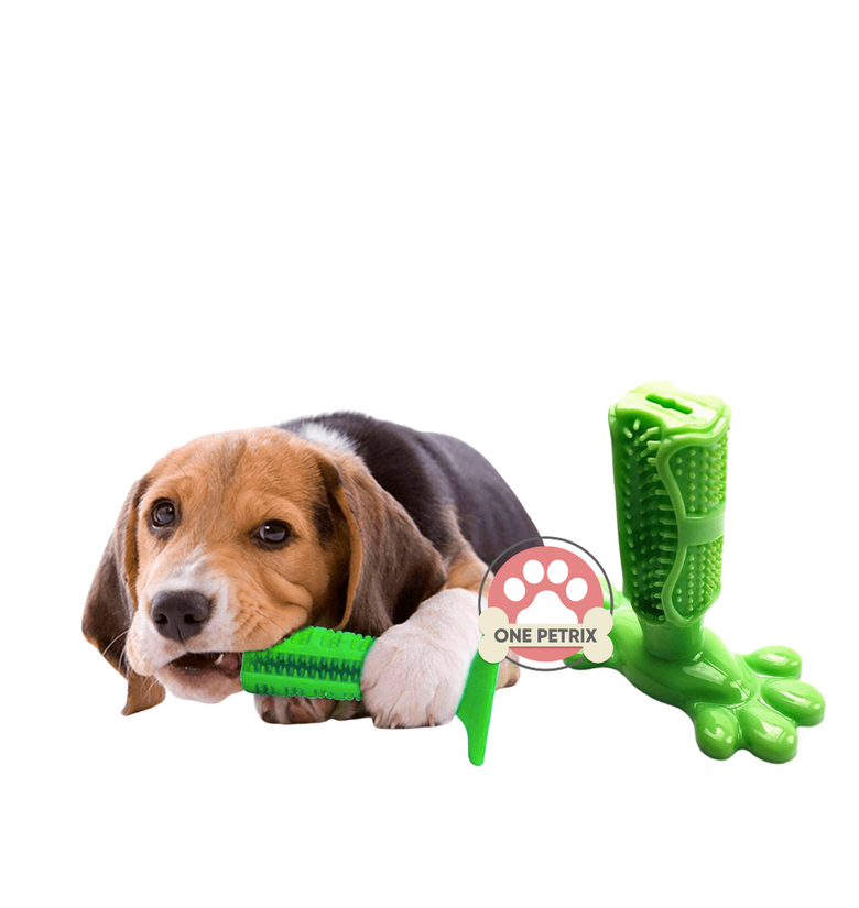 Pet Dental Teether Chew Toy