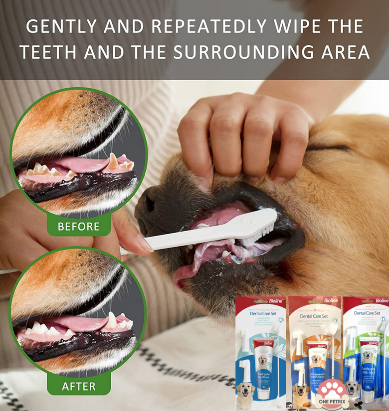 Bioline toothpaste top for dogs