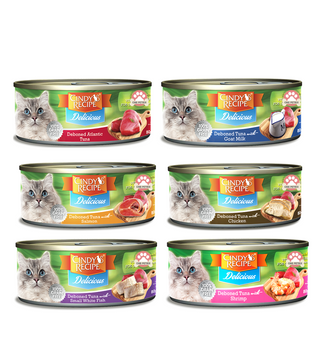 Cindy's Recipe Delicious Wet Cat Food in Can (Deboned) 80G