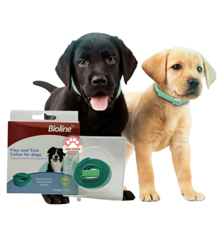 Bioline flea sales and tick collar