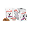 Royal Canin Renal with Fish Wet Cat Food (Veterinary)