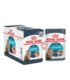 Royal Canin Feline Urinary Care Wet Cat Food Feline Care Nutrition