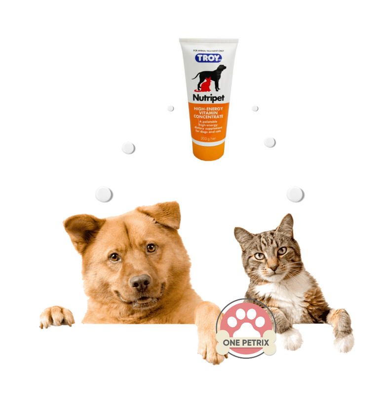 Troy top dog vitamins