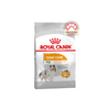 Royal Canin Mini Coat Care Dry Dog Food Canine Care Nutrition 3KG