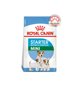 Royal Canin Mini Starter Mother and Baby God Dry Dog Food Size Health Nutrition 1KG